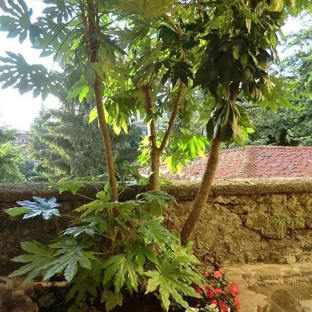 Apartment Nel Cuore Di I Pozzi - Lucca - Toscana *